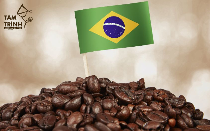 san luong ca phe 2026 brasil tang