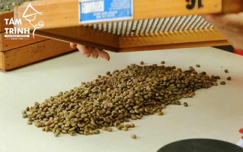 Coffee quality control directly impacts export value.