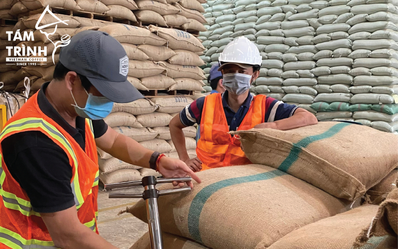 Green Coffee Bean Grading Process