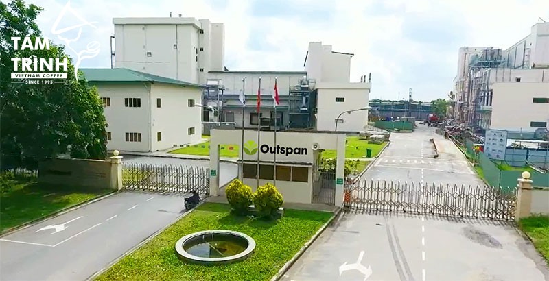 Outspan Factory