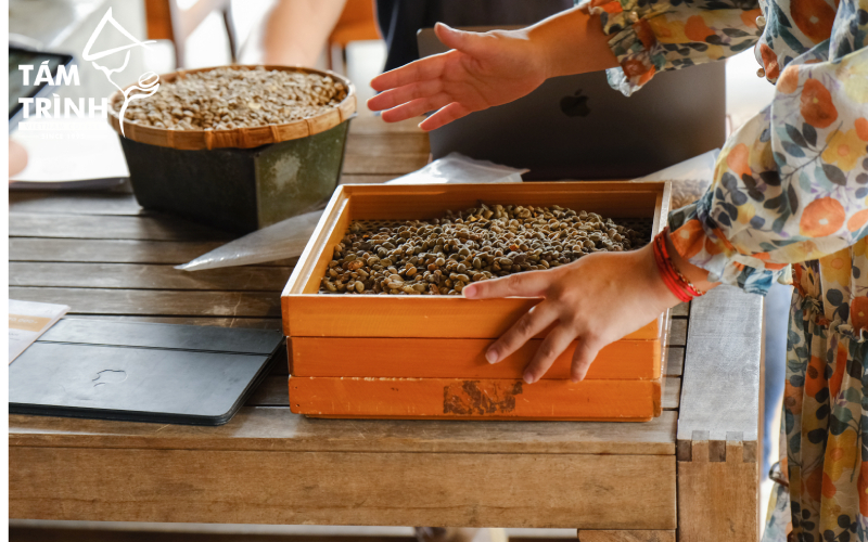 Tám Trình Coffee Is a Trusted Coffee Supplier and Exporter