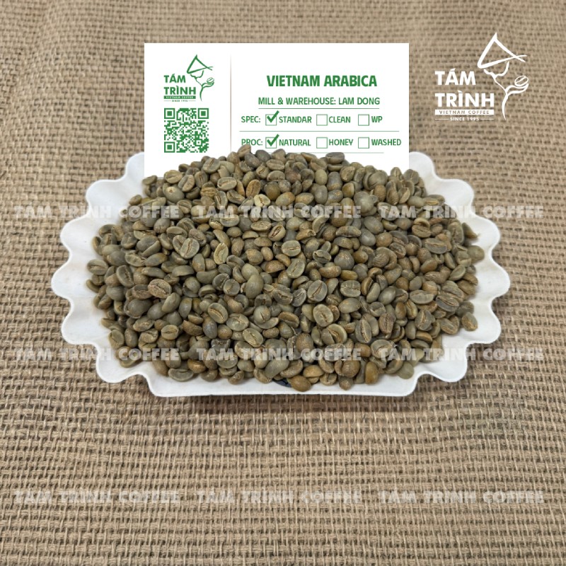 Cau Dat Arabica – Tam Trinh Coffee Vietnam