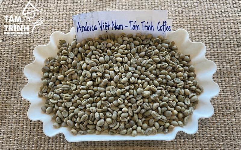 Arabica Việt Nam - Tám Trình Coffee