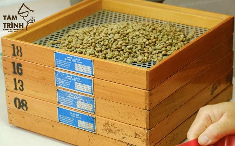 Cà phê Robusta của Tám Trình Coffee