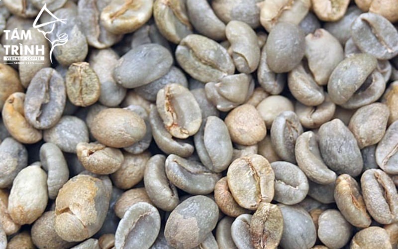 Arabica Moka coffee