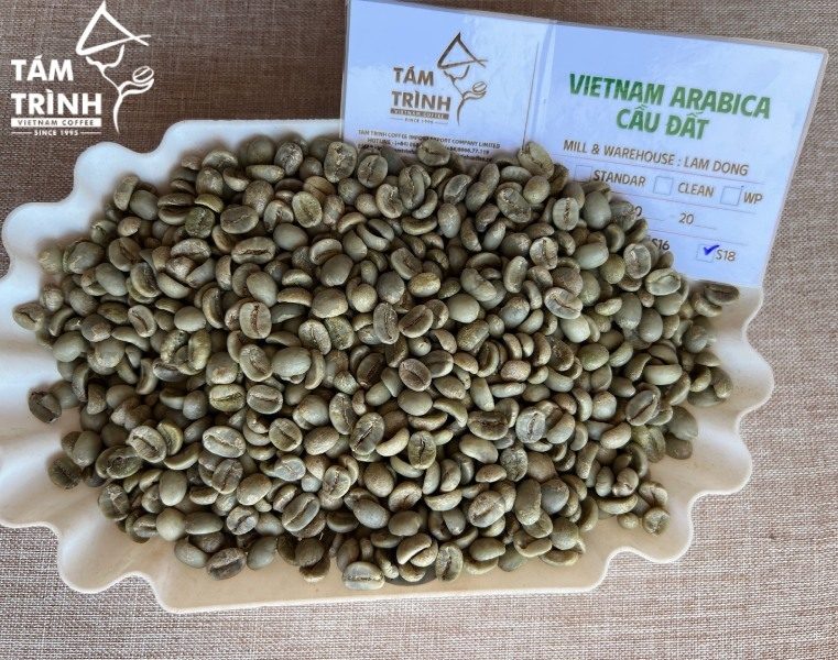 Hạt cà phê nhân Arabica Cầu Đất của Tam Trinh Coffee