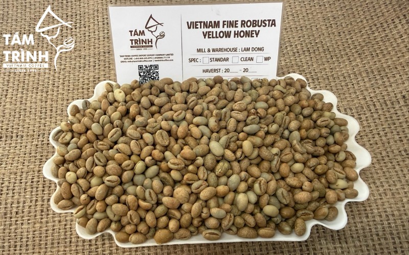 Nhà Rang Xay Premium đặc biệt quan tâm đến Fine Robusta