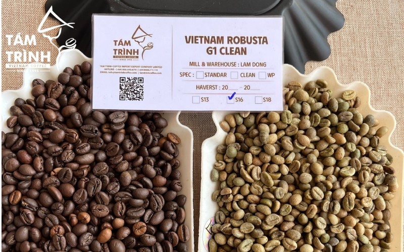 Trader Và Importer cần bộ thông số kỹ thuật của lô cà phê trước khi giao dịch