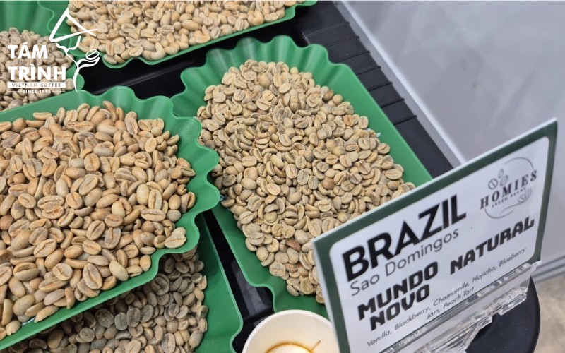 Brazil ảnh hưởng rất lớn đến giá Arabica
