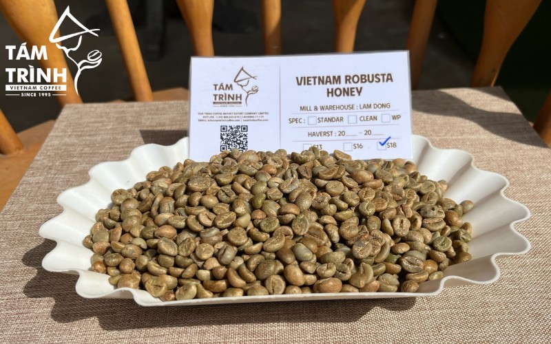Cà phê Robusta Honey Screen 18 tại Tám Trình Coffee