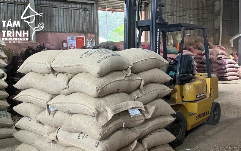 Hạt cà phê nên được bảo quản trong môi trường kho tốt