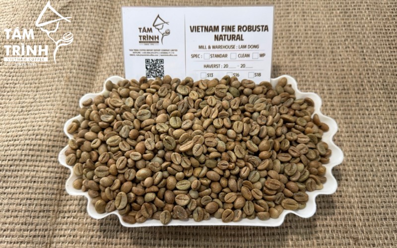 Mẫu cà phê Fine Robusta Natural