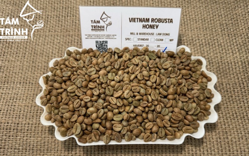 Mẫu cà phê Robusta Honey