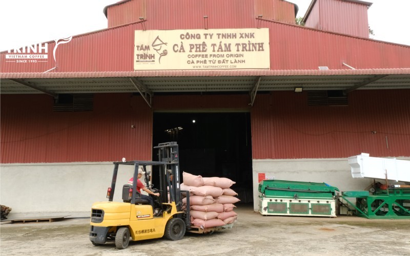 Tám Trình Coffee is a Robusta coffee supplier in Lam Dong.