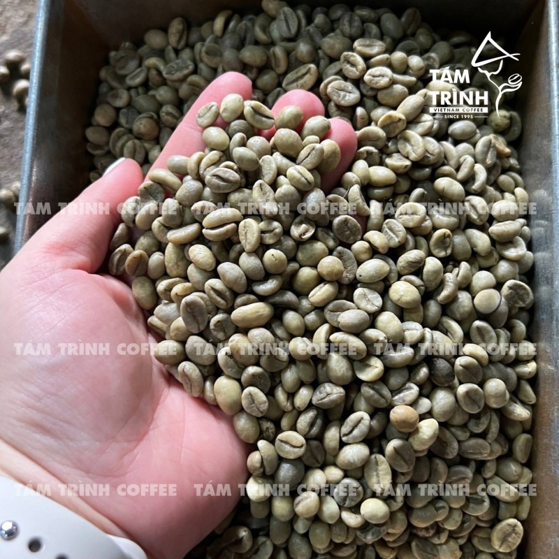 Việt Nam vẫn là quốc gia có nguồn cung cà phê lớn cho thế giới