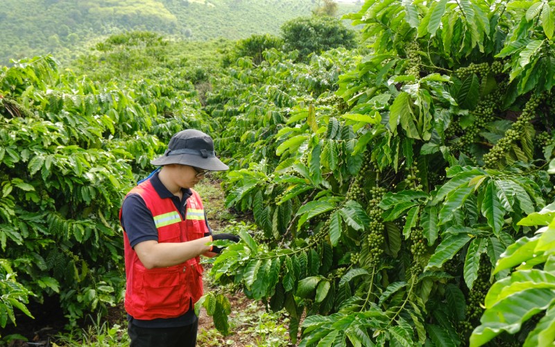Tám Trình Coffee phù hợp với các khách hàng B2B quốc tế