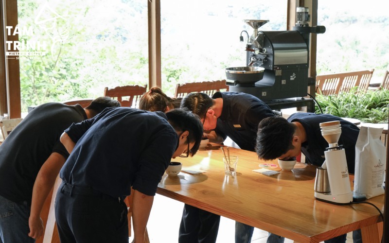 Fine Robusta coffee evaluation standards based on the cupping score.
