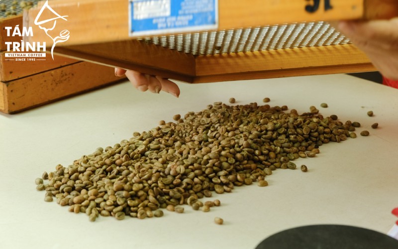 The coffee beans are graded using a color-sorting machine.
