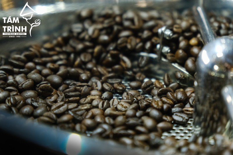 Việt nam xuất khẩu cà phê Robusta lớn nhất thế giới