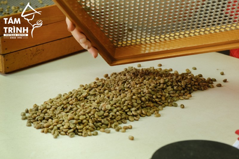Tám Trình Coffee chuyên cung cấp cà phê nhân xanh chất lượng